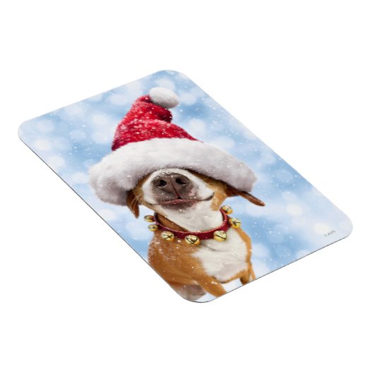 大きなサンタハットを持つ犬 マグネット (右側)