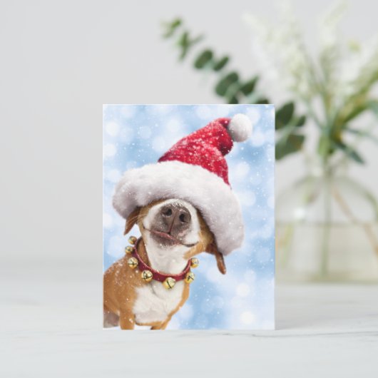 大きなサンタ帽をかぶった犬 インビテーションポストカード (スタンド正面)