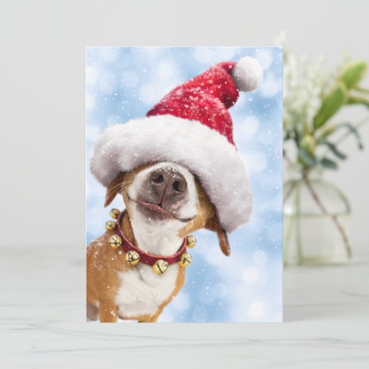 大きなサンタ帽をかぶった犬 招待状 (スタンド正面)