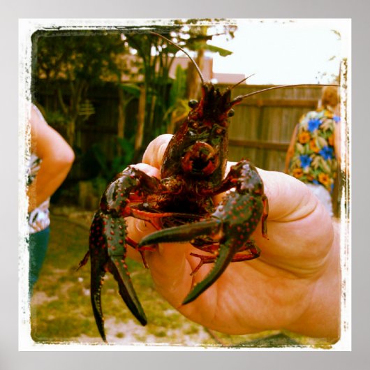 大きなザリガニの写真ポスター ポスター (正面)