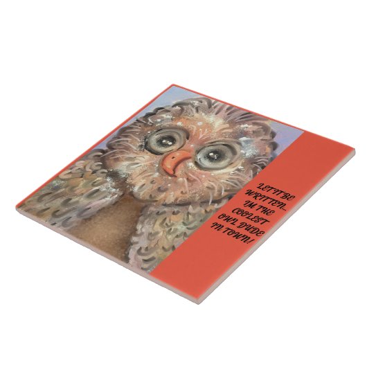 大きなセラミックおもしろいタイルお洒落かわいいフクロウ！ タイル (側面)