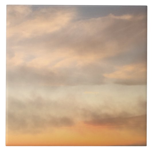 大きなセラミックタイル美しいパステルカラー! タイル (正面)