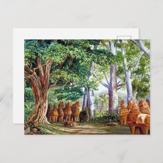 大きなタマリンドの木のはがき ポストカード (正面/裏面)