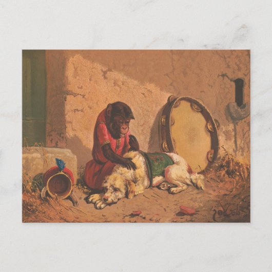 大きなタンバリンを持つサルと犬 ポストカード (正面)