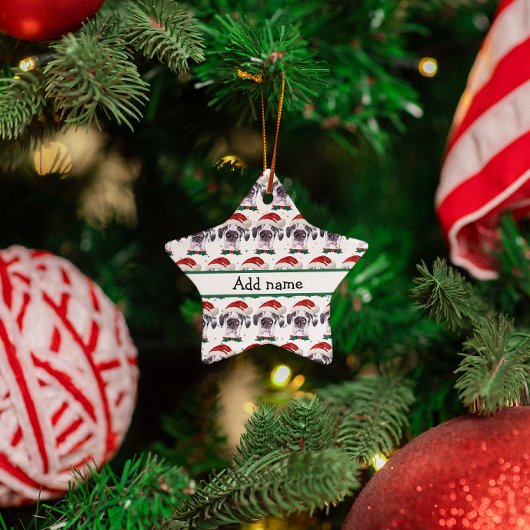 大きなダン犬がクリスマススターを育てる セラミックオーナメント