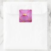 大きなダークピンク蓮の花の写真.jpg スクエアシール (バッグ)