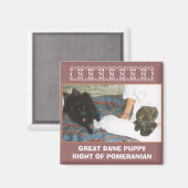 大きなダーンパピー マグネット (正面/裏面)