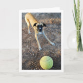 大きなテニスボールを持つ犬 カード (正面)