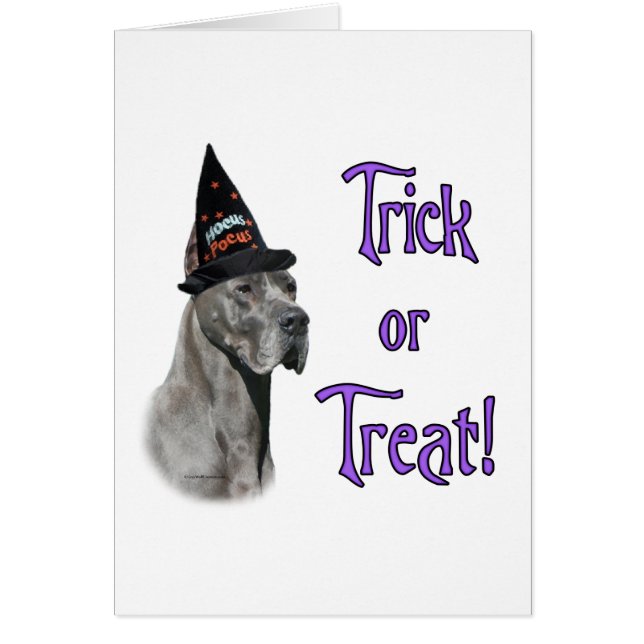 大きなデーンのトリック (正面)