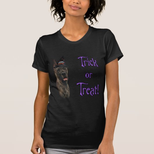 大きなデーンのトリック Tシャツ (正面)
