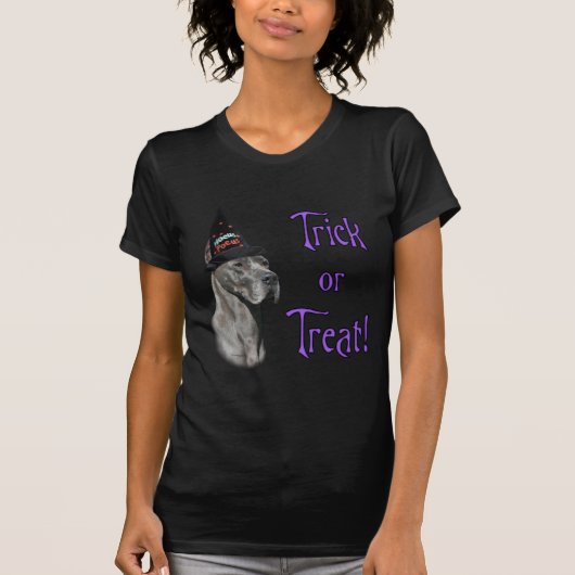 大きなデーンのトリック Tシャツ (正面)