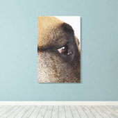 大きなデーンの目 キャンバスプリント (インサイチュ (ウッドフロア))