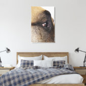 大きなデーンの目 キャンバスプリント (インサイチュ (寝室))