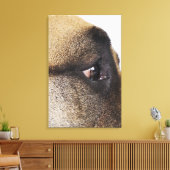 大きなデーンの目 キャンバスプリント (インサイチュ (リビング))