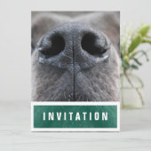 大きなデーン鼻アップ 招待状 (スタンド正面)