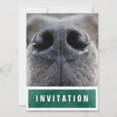 大きなデーン鼻アップ 招待状 (正面)