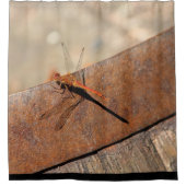 大きなトンボのシャワーカーテン シャワーカーテン (正面)