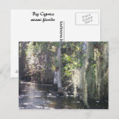 大きなヒノキ ポストカード (正面/裏面)