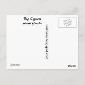 大きなヒノキ ポストカード (裏面)