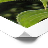 大きなヒマワリ ポスター (角)