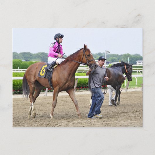 大きなビジネス、ベルモントパーク ポストカード (正面)