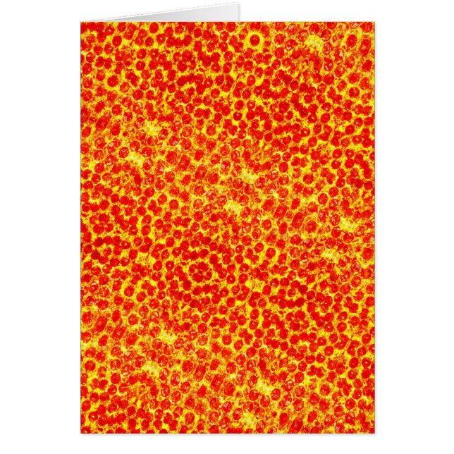 大きなピザパターン (正面)