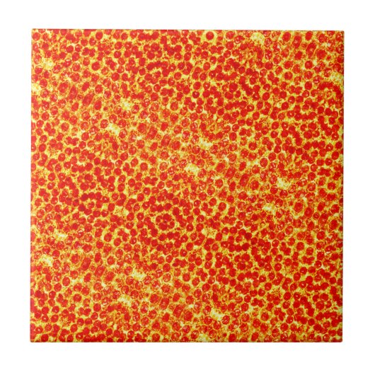 大きなピザパターン タイル (正面)