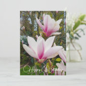 大きなピンクのマグノリアの花を咲かせている。 招待状 (スタンド正面)