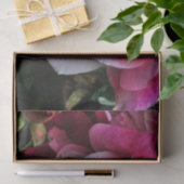 大きなピンク色のバラ 薄葉紙 (ギフト)