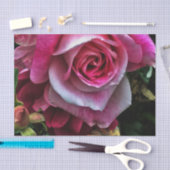 大きなピンク色のバラ 薄葉紙 (クラフト)