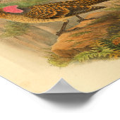 大きなフリルボーワーバードブラウンヴィンテージプリント ポスター (角)