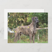 大きなブランドのフル ポストカード (正面/裏面)