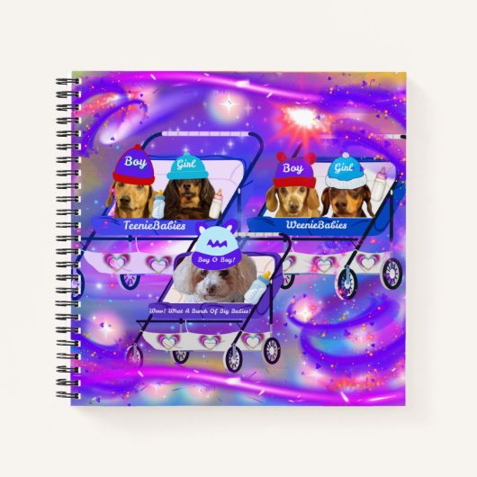 大きなベビー ノートブック (正面)