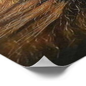 大きなライオン ポスター (角)