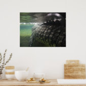 大きなワニ ポスター (キッチン)