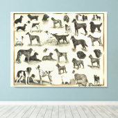 大きなヴィンテージ犬が子牛と愛犬家ハウンド キャンバスプリント (インサイチュ (ウッドフロア))