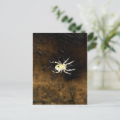 大きな不気味なクモの上にくもの巣 ポストカード (スタンド正面)