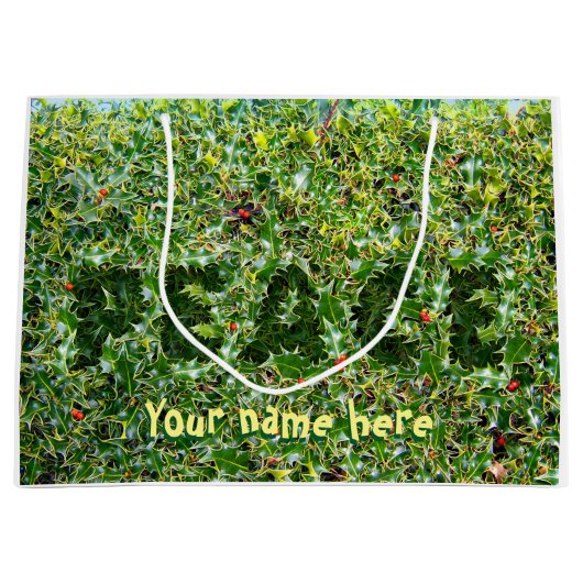 大きな光沢のある抱き枕プリックリーピースホリー ラージペーパーバッグ (正面)