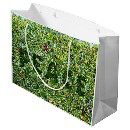 大きな光沢のある抱き枕プリックリーピースホリー ラージペーパーバッグ (裏面アングル)