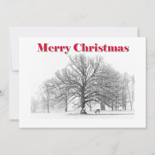 大きな冬のシーンクリスマスカードホワイトボウ(フラット) シーズンカード (正面)