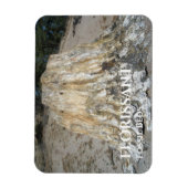 大きな切り株、フローリサン化石ベッド マグネット (縦)