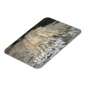 大きな切り株、フローリサン化石ベッド マグネット (左側)