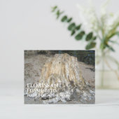 大きな切り株、フローリサン化石ベッド、WY ポストカード (スタンド正面)