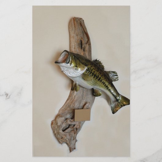 大きな口のベース チラシ (正面)