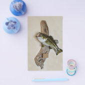 大きな口のベース チラシ (シングル)