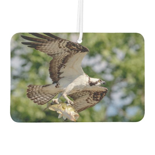 大きな口ベースのオスプレイ カーエアーフレッシュナー (裏面)