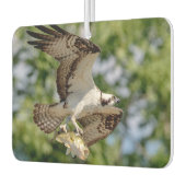 大きな口ベースのオスプレイ カーエアーフレッシュナー (左)