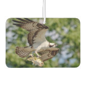 大きな口ベースのオスプレイ カーエアーフレッシュナー (正面)