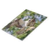 大きな口ベースのオスプレイ ノートパッド (アングル)