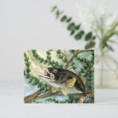 大きな口ベース ポストカード (スタンド正面)